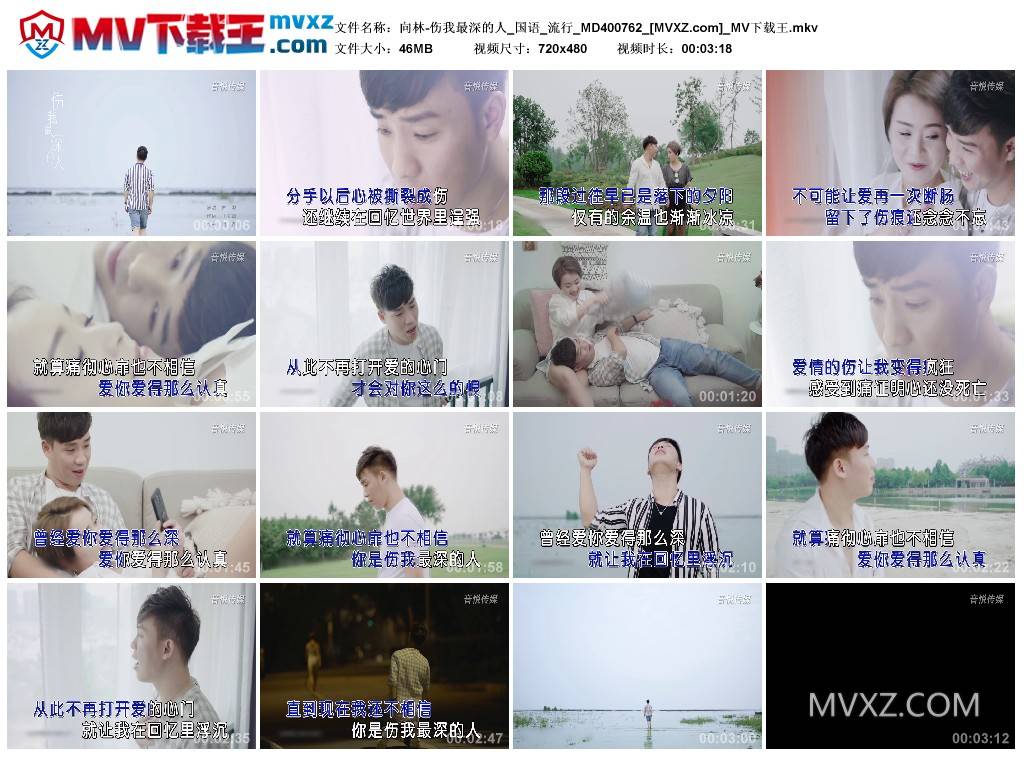 向林-伤我最深的人_国语_流行_MD400762